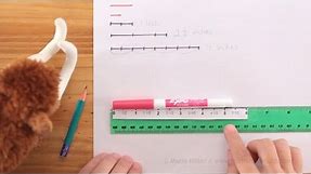 Measuring length to the nearest half-inch: 2nd grade math