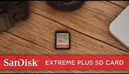 SanDisk Extreme PLUS SD Card | Official Product Overview