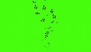 Animation flow black music notes on green background. Flying up musical symbols with Alpha channel. Music background with treble clef and notes. Template for music video clip or music compositions. 4K