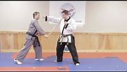 Basic Forms of Hapkido Cane : Hapkido & Taekwondo Techniques