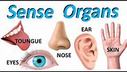 Sense organs for kids [ 5 SENSE ORGANS] Sense organs name | Kids e-Learning