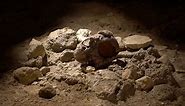 See these 50,000-year-old Neanderthal skulls discovered in Italy