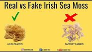 Real vs. Fake Irish Sea Moss