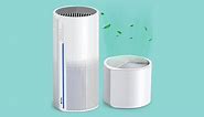 5 Best Air Purifier and Humidifier Combo Units of 2024, Tested and Reviewed