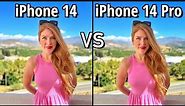iPhone 14 VS iPhone 14 Pro Camera Comparison! Which one is better?