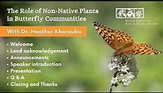 The Role of Non-Native Plants in Butterfly Communities with Dr. Heather Kharouba