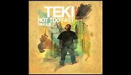 Teki - Not Too Fast