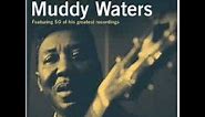 Muddy Waters - You're Gonna Miss Me (When I'm Dead and Gone)