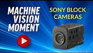 Machine Vision Moment - Sony Block Cameras