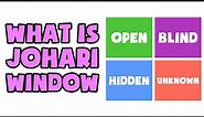 What is The Johari Window | Explained in 2 min