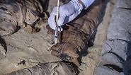 Dozens of Cat Mummies Found in 4,500-Year-Old Egyptian Tombs