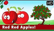 Red Red Apples! | Colours | Educational | Nursery Animation Kids Songs