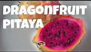 DRAGONFRUIT Red Fleshed PITAYA | Fruity Fruits