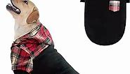 Plaid Dog Hoodie for Small Medium Large Dogs,Warm Dog Sweatshirt with Hat and Leash Hole, Dog Clothes for Puppy Bulldog XS S M L Sized Breeds Dogs, Soft Pullover Fleece Dog Sweater