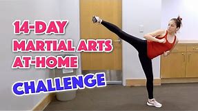 14-Day Martial Arts Workout Challenge (Day 1)