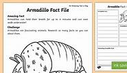 Armadillo Fact File
