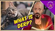 The Secret Meaning of Cat Derps