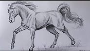 How to draw a Horse step by step | Pencil Shading Drawing