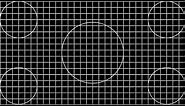 Basic Circles & Grids Aspect Screen Test for TV, Monitors, Projectors and other Displays