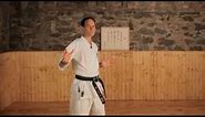 What Are the Major Styles of Karate? | Karate Lessons