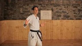 What Are the Major Styles of Karate? | Karate Lessons