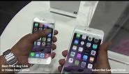 iPhone 6 VS iPhone 6 Plus Comparison Review Which one is better and Why