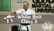 Shotokan Karate Beginner Follow Along Training Class - 9th Kyu White Belt - Class 3