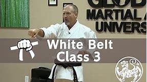 Shotokan Karate Beginner Follow Along Training Class - 9th Kyu White Belt - Class 3