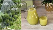 Improve the function of your immune system with this Refreshing Golden Apple Juice