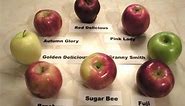 Apples 101 - About Ambrosia Apples (Characteristics)