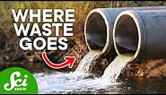 Where Your Waste Actually Goes When You Flush