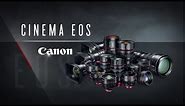 Introducing the Canon Cinema Family of Lenses