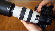 Canon 70-300mm f/4-5.6 IS USM 'L' lens review with samples (Full-frame and APS-C)