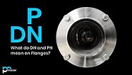 Difference between the standard DN flange and the PN flange? - ThePipingMart Blog