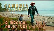 Cambria Travel Guide | California by CALIWAG