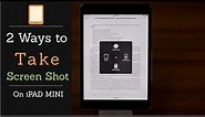 Take Screenshot on iPad Mini (2 Ways) | Easy Tips to Capture iPad Screenshot