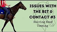 Issues with the Bit & Contact - Solving Head Tossing