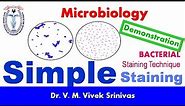 SIMPLE STAINING | Bacterial Staining Technique | Microbiology | Vivek Srinivas | #Bacteriology