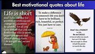 Deep quotes to understand life/don't be a parrot,be an eagle