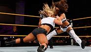 WWE NXT: Kaitlyn vs. Nikki Bella