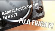 Fuji Friday! Manual Focus on the Fuji XT2