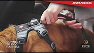 EzyDog ISOFIX Car Attachment Video for your Dog
