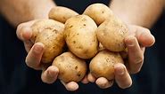 The Ultimate List of Determinate and Indeterminate Potato varieties - Gardening Dream