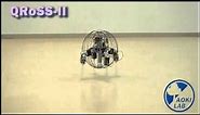 Quadruped Walking Robot With Spherical Shell