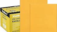 ValBox 6x9 Self Seal Catalog Security Envelopes 250 Count Small Brown Kraft Envelopes for Mailing, Storage and Organizing