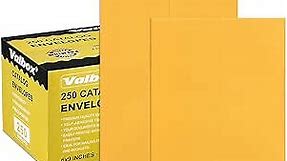 ValBox 6x9 Self Seal Catalog Security Envelopes 250 Count Small Brown Kraft Envelopes for Mailing, Storage and Organizing