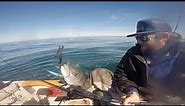 Yo-Yo Iron Fishing | SDFS Thoughts & Experience + La Jolla Yellowtail Flashback