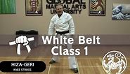 Shotokan Karate Follow Along Class - 9th Kyu White Belt - Class #1