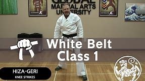 Shotokan Karate Follow Along Class - 9th Kyu White Belt - Class #1