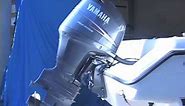 How to check the oil in a Yamaha four stroke outboard